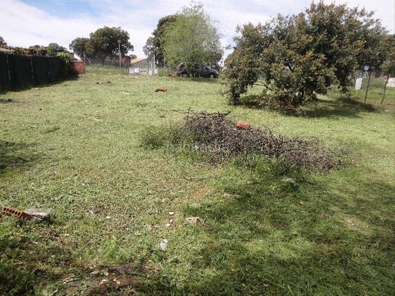 Foto ecea384d-a783-4552-998a-6e35d82bb6b3. Terreno residenziale in calle de la fuente amarguilla 16 in Chiloeches