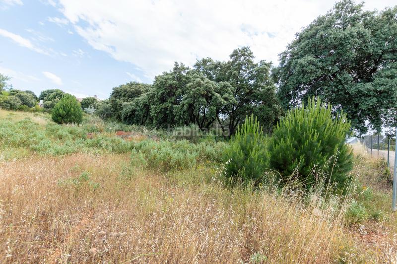 Foto 23c17100-cb63-46e7-80e5-cc05a8d77759. Terreno residencial en calle eucaliptus 29 en Hontoba