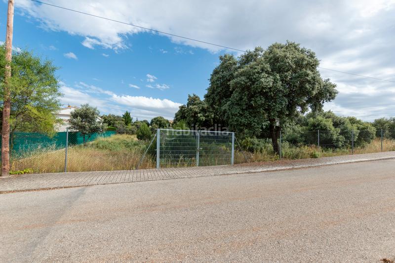 Foto 7ba3197b-5873-4252-b5fe-0f4d1884d615. Terreno residencial en calle eucaliptus 29 en Hontoba