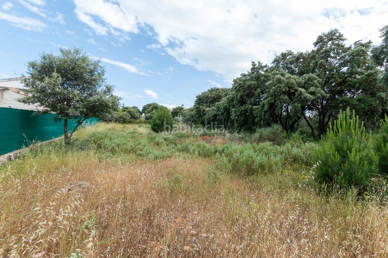 Foto b9a81a2d-ce28-4e82-8385-31facf9f9d76. Terreno residencial en calle eucaliptus 29 en Hontoba