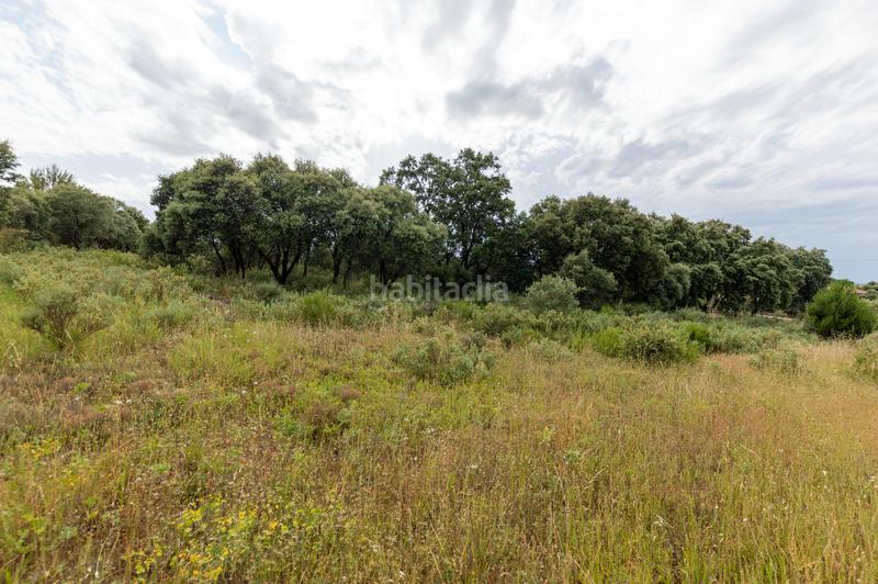 Foto 0d03e1ac-18ac-4b5b-9bec-bc7f40efe62a. Terrain résidentiel dans calle eucaliptus 29 dans Hontoba