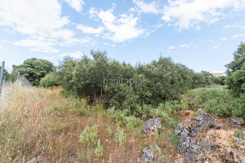 Foto bc85c566-923a-4034-84a1-8d594f5379cc. Terrain résidentiel dans calle eucaliptus 29 dans Hontoba