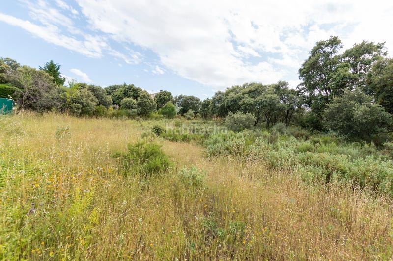 Foto cfa32959-e05a-4ded-a93c-21e7d6290ad0. Terrain résidentiel dans calle eucaliptus 29 dans Hontoba