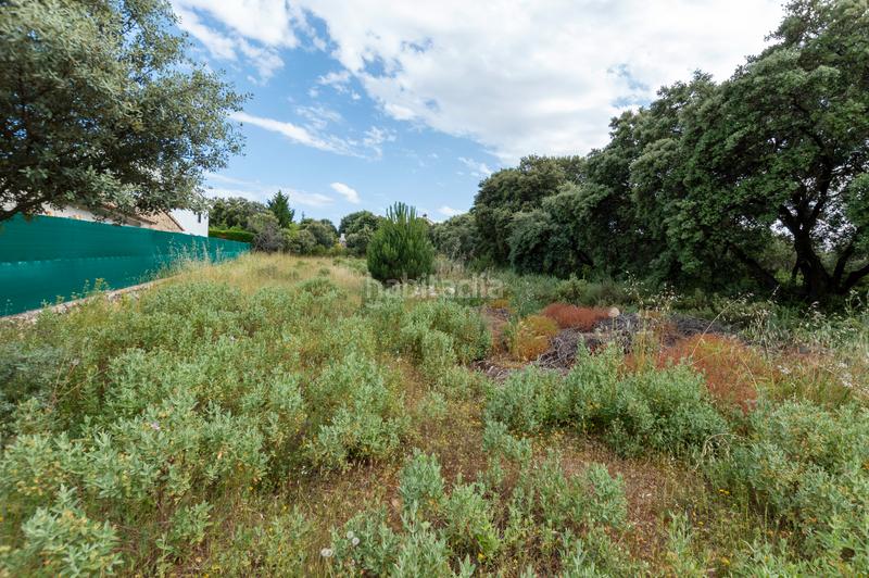 Foto eaf5a444-33b8-4cf0-a126-eaee4c5ab688. Terrain résidentiel dans calle eucaliptus 29 dans Hontoba