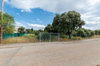 Terreno residencial en Calle eucaliptus 29