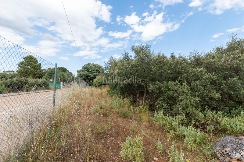 Foto 9fe46081-1e2e-4444-81e4-4dba1c273687. Terreno residenziale in calle eucaliptus 29 in Hontoba