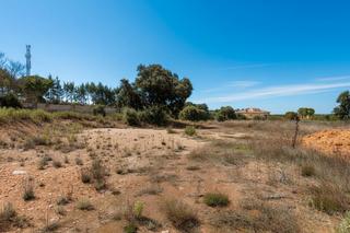 Residential Plot  Calle almendros