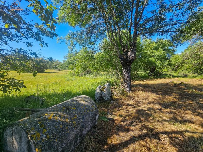 Foto 15b9bdc5-9dd7-48a1-965d-15aa4e9ebf19. Finca rústica inmosai vente este magnífico terreno rústico en Valdemorillo