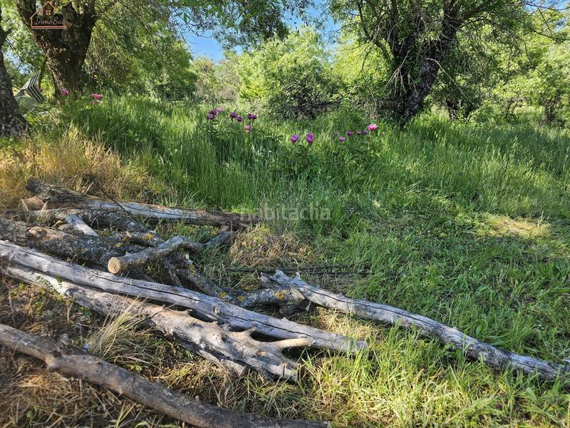 Foto 58bfb5ce-12d2-4d99-80e6-50e1c84123ce. Finca rústica inmosai vente este magnífico terreno rústico en Valdemorillo