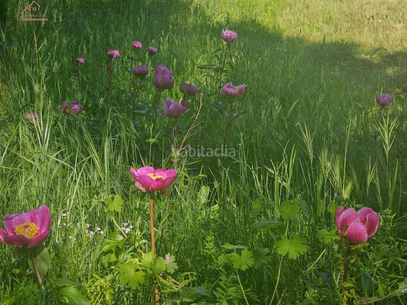 Foto 68da0c3c-643b-403f-af6a-d12b793bb9ca. Finca rústica inmosai vente este magnífico terreno rústico en Valdemorillo