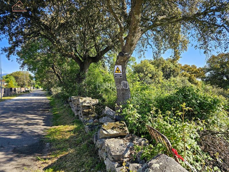 Foto 713210bb-4747-4897-a984-a922a46bde20. Finca rústica inmosai vente este magnífico terreno rústico en Valdemorillo