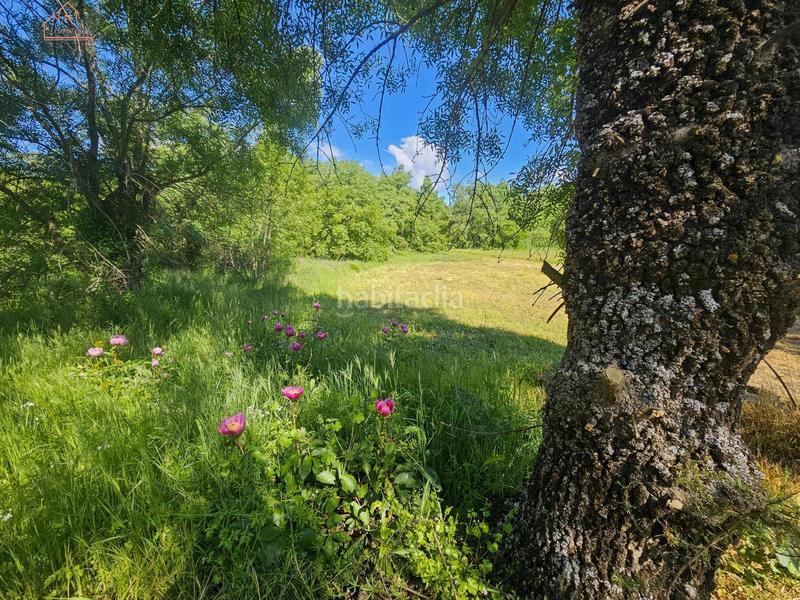 Foto 81dd5b6a-f7ce-490f-b006-1c23a6b979ff. Finca rústica inmosai vente este magnífico terreno rústico en Valdemorillo