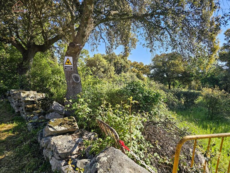 Foto b16ebffc-99f9-4b7a-98aa-b8afa909ac44. Finca rústica inmosai vente este magnífico terreno rústico en Valdemorillo