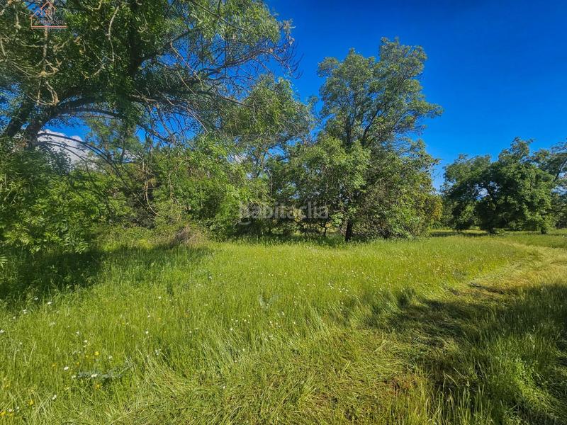 Foto d5475ac9-7d29-4472-a2c1-cff6cf05b20c. Finca rústica inmosai vente este magnífico terreno rústico en Valdemorillo
