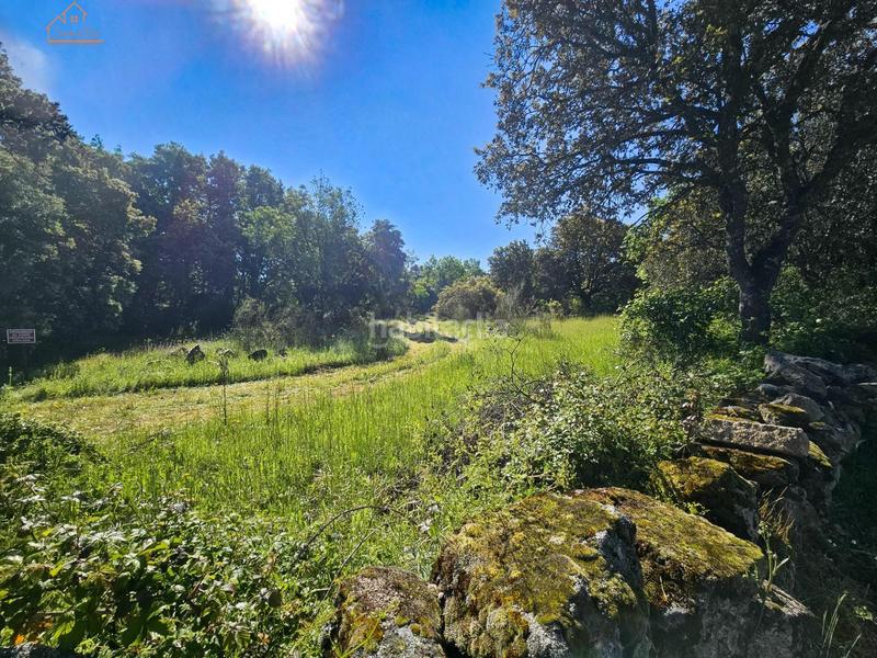 Foto ef494fd8-652a-4a32-8b3b-6d44df749901. Finca rústica inmosai vente este magnífico terreno rústico en Valdemorillo