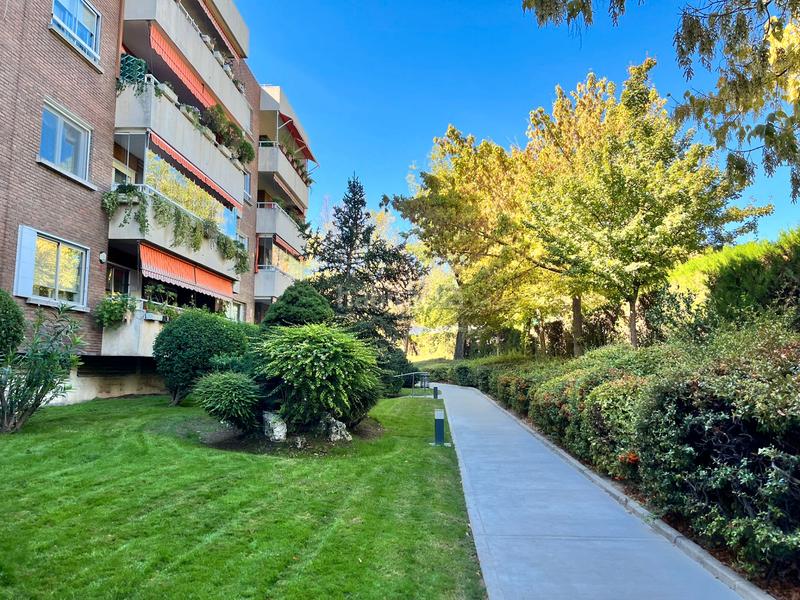 Foto 208ba45f-a459-4e28-9455-76731e250e10. Rent flat with heating parking pool in Prado de Somosaguas Pozuelo de Alarcón