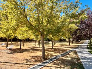 Rent Flat  Calle de prado del rey. Piso reformado en urbanización
