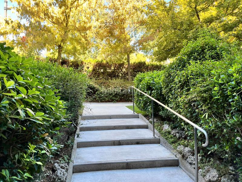 Foto c52a2580-b71d-4d01-a898-47b76e54130a. Rent flat with heating parking pool in Prado de Somosaguas Pozuelo de Alarcón