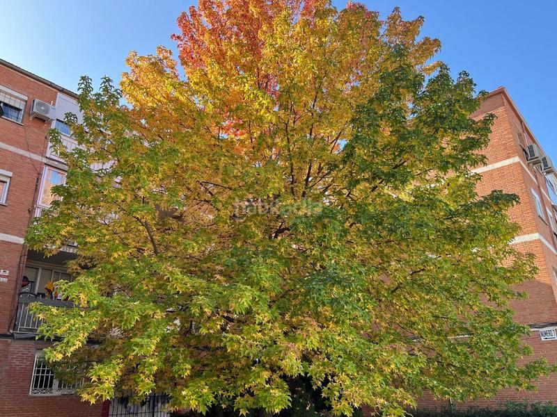 Foto 88b27a25-88da-496d-b54c-e14d6b7e6dac. Flat with heating in Cuevas-Ilustración Ciempozuelos