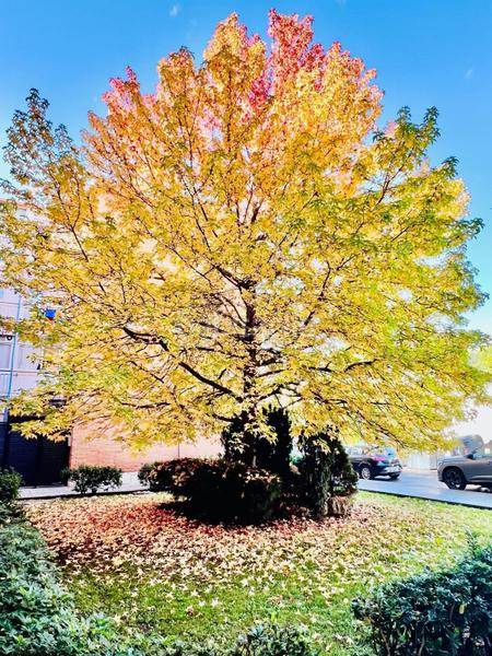 Foto e099dcd5-8275-4a87-a5d1-f60ab07db2e9. Flat with heating in Cuevas-Ilustración Ciempozuelos