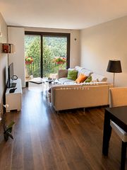 Pis a L´Aldosa-Anyós. Piso seminuevo alquilado en venta en anyós, edificio font amagad
