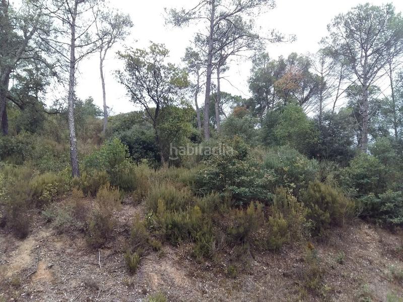 Foto adaf2c6a-5e6b-4366-858b-7f8080d9c0df. Terreno residencial en Niàgara Parc -Àgora Parc Tordera