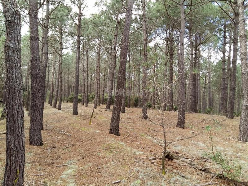 Foto 59649652-07b2-4335-9276-66d316be6baa. Propriété dans Niàgara Parc -Àgora Parc Tordera