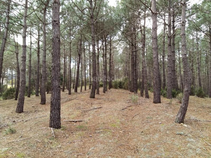 Foto 27dda7aa-ddeb-498c-89f0-b454447f38f7. Finca rústica en Niàgara Parc -Àgora Parc Tordera