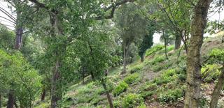 Residential Plot in Niàgara Parc -Àgora Parc