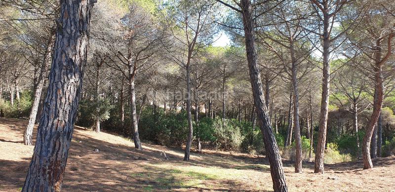 Foto d0fb71fd-1f11-454a-9f29-b32d52380071. Landgut in Mas Mora-Sant Daniel Tordera