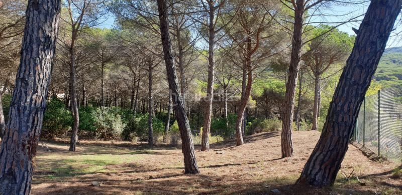 Foto 57765db0-316e-4399-88c4-74bc3f070908. Rural plot in Mas Mora-Sant Daniel Tordera