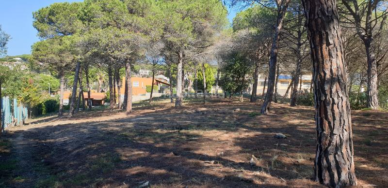 Foto abba3e2a-6336-4ce1-8cac-d4ae9cb765dc. Rural plot in Mas Mora-Sant Daniel Tordera