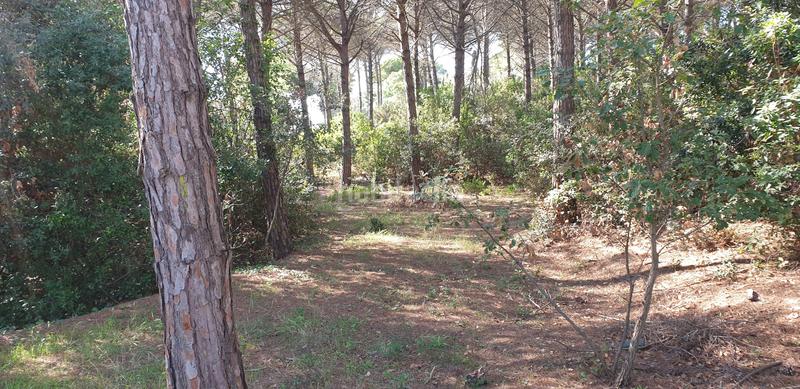 Foto 33872c8f-b782-44d0-b5e8-fa3ef1e8a2b6. Finca rústica a Mas Mora-Sant Daniel Tordera