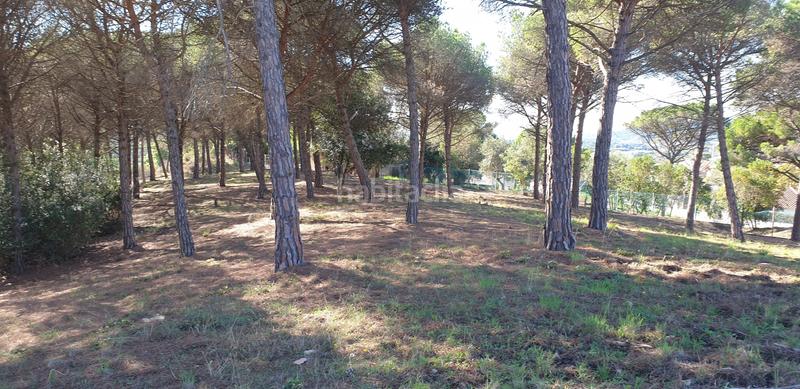 Foto 91b33915-e4d9-4973-932a-223d3e1d2e9a. Finca rústica a Mas Mora-Sant Daniel Tordera