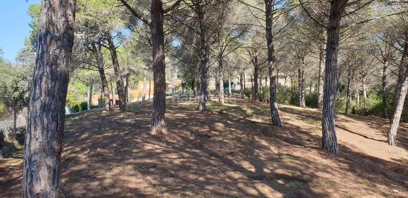 Foto 38e08037-b3cf-4461-b64f-004ddfe0e3fe. Finca rústica en Mas Mora-Sant Daniel Tordera