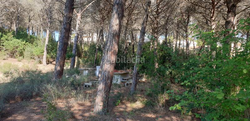 Foto 8f023424-4269-4e47-8a5c-e39faa641a4d. Finca rústica en Mas Mora-Sant Daniel Tordera