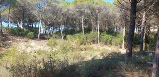 Finca rústica a Mas Mora-Sant Daniel
