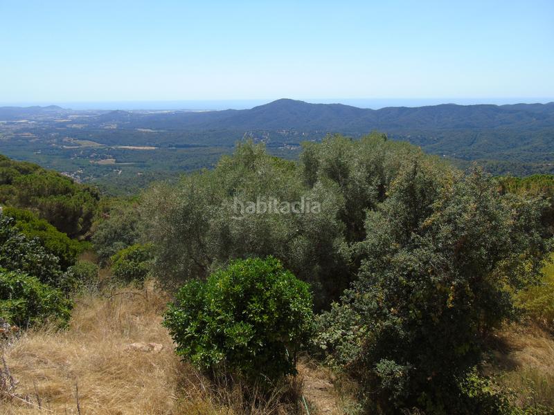 Foto cdd89694-d8fc-4b1c-a59e-76ac5d024177. Casa en Niàgara Parc -Àgora Parc Tordera