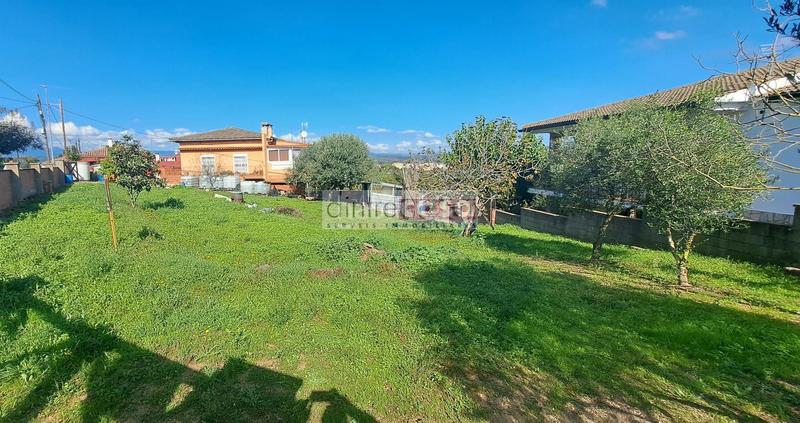 Foto 220c02f4-24e8-4035-9687-6b1e8ddd1cde. Terreny residencial a avinguda mas reixac 7c a Palafolls