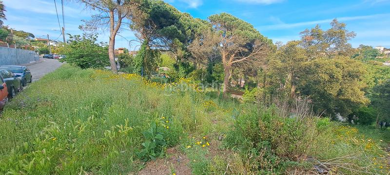 Foto 259b096f-3ae7-48a8-9dcf-769b5413327f. Terreno residenziale in Residencial Park Maçanet de la Selva