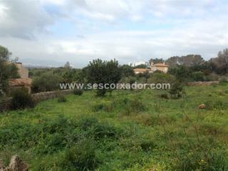 Terreny residencial a Carrer can domingo 6. Magnifica oportunidad tres solares en marrtxi