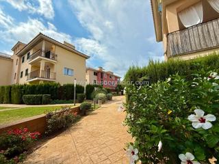 Pis a Sa Torre. Precioso piso 2 domitorios zona sa torre p2929