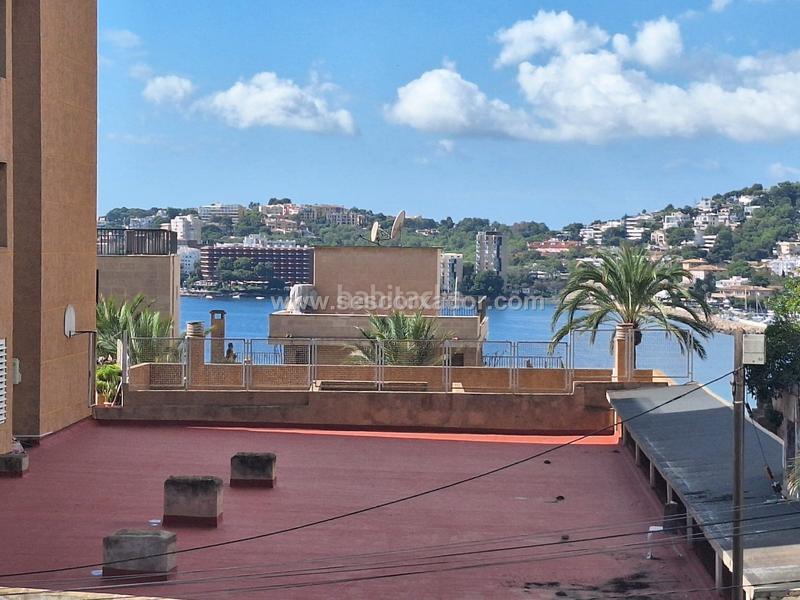 Foto 77e5c452-db90-448c-a6dd-f00c28e758b4. Rent flat in Porto Pi Palma de Mallorca