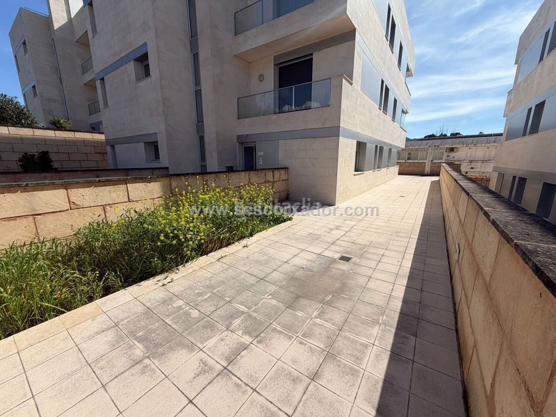 Foto 14ef4ac1-bce4-48e8-8f4d-4decccf8b951. Planta baixa amb piscina a Es Camp de Mar Andratx