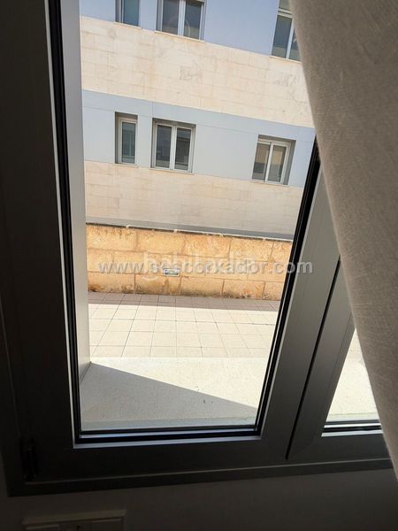 Foto e3077fa3-d535-4fa5-aee1-b79280f92fc1. Planta baixa amb piscina a Es Camp de Mar Andratx