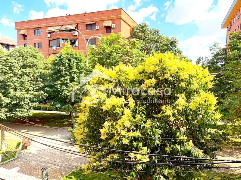 Foto 5d115297-d444-4fa2-90d4-2db43d2a0256. Pis a La Serna Fuenlabrada