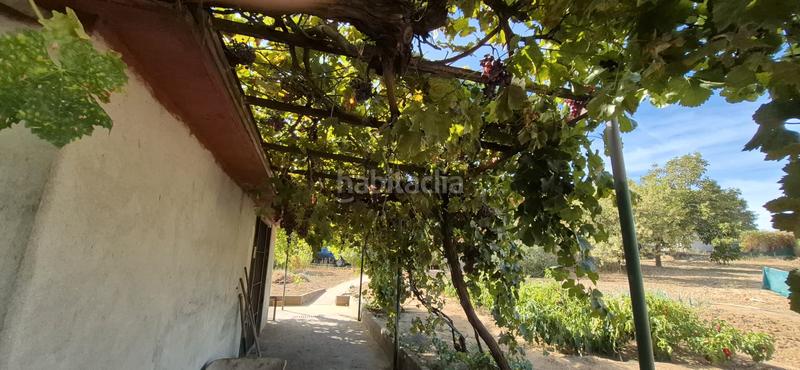 Foto 2a18a9ff-68a7-466e-928e-48e8673df305. Chalet in Viso de San Juan (El)