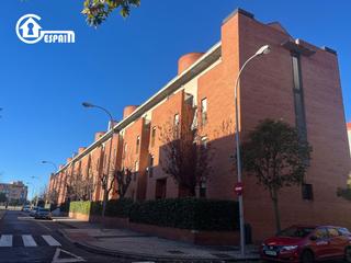 Pis  Navacepedilla. Gespain aluchecampamento