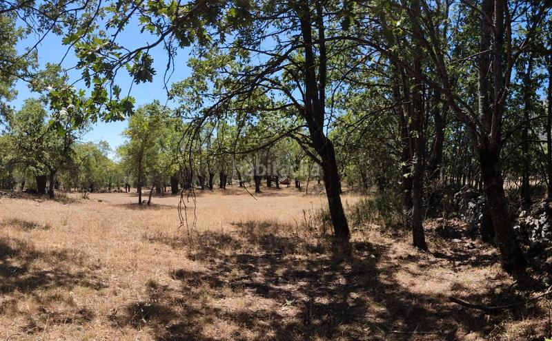Foto 091a5291-9cb4-4ac5-b749-0f561142fe7f. Landgut in Centro-Manguilla Escorial (El)