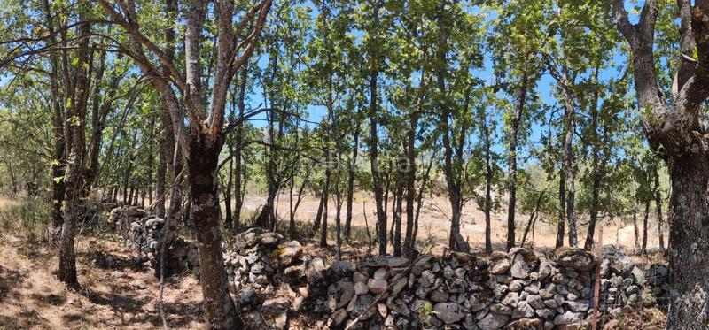 Foto 1673a2e1-a221-4e73-b462-8a3c782c604e. Propriété dans Centro-Manguilla Escorial (El)